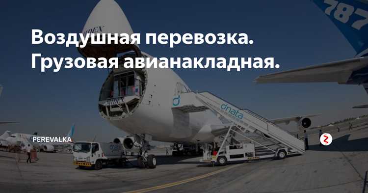 Как выбрать подходящую авиакомпанию для перевоза