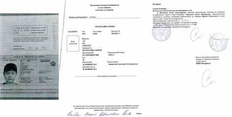 Различия между баней и сауной