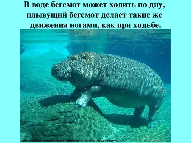 Женская рифма