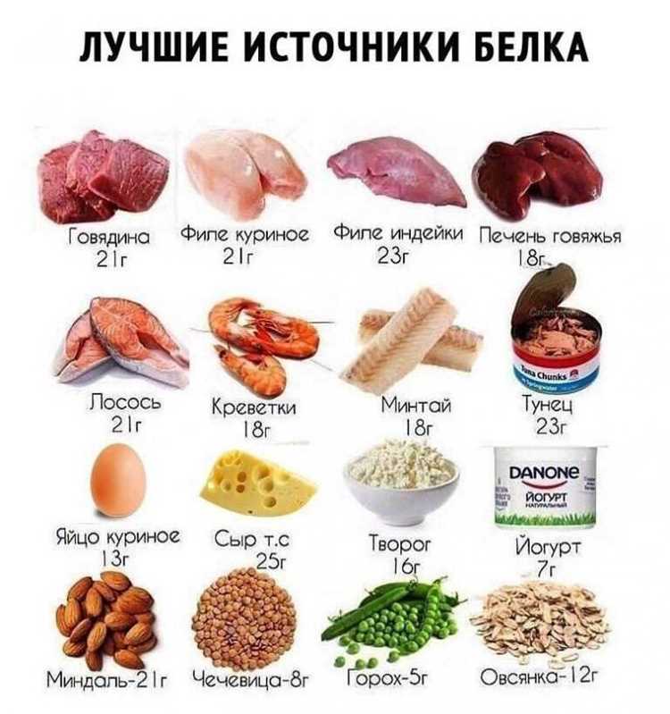 Будущее исследований в области транслетации: направления и ожидания