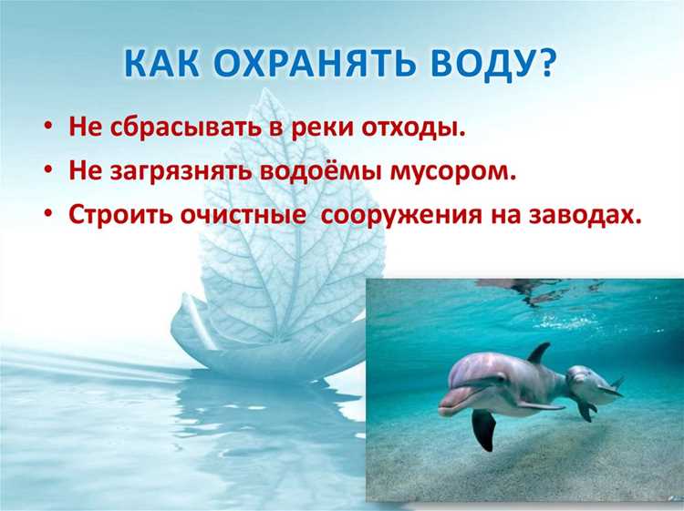 Различия в значении «беречь» и «охранять»