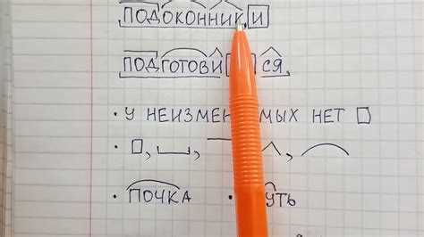 Использование термина 