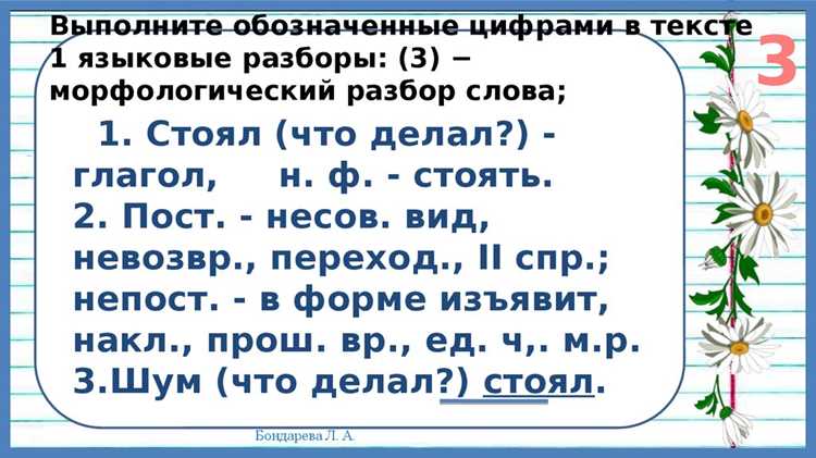 Этимология термина 