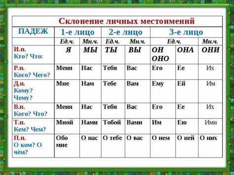 Выбор подходящего инструмента для бритья