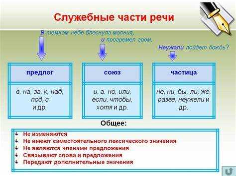 Союзы: соединительная функция в предложениях
