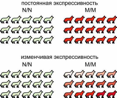 Экспрессивные средства в общественных и медийных коммуникациях