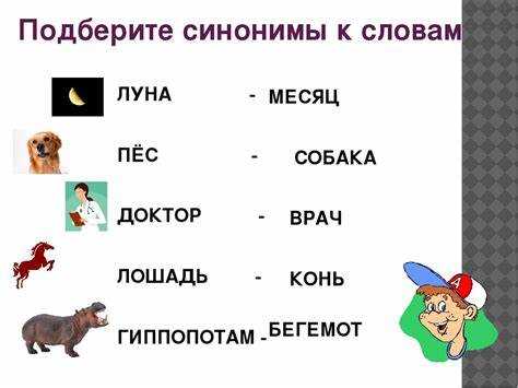 Использование термина 