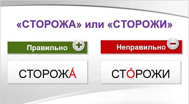 Употребление термина «сторож» в предложениях