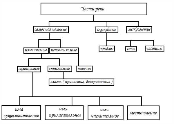 Синтаксическая роль 