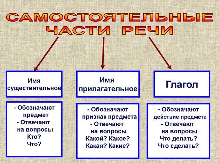 Похожие слова и их различия с 