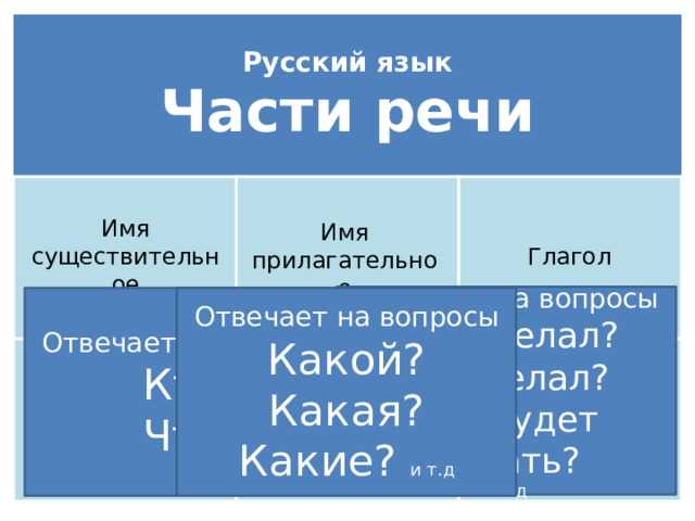 Прилагательные: как выразить скорость через качества