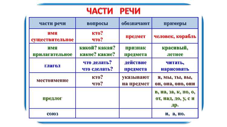 Грамматические характеристики местоимения 