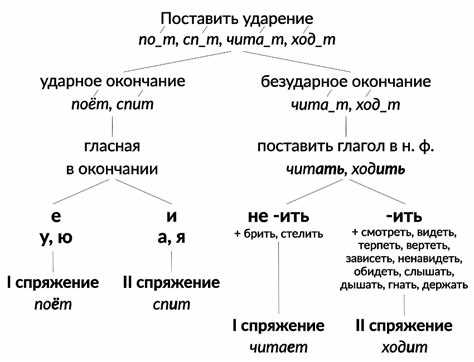 Сравнение глаголов первого и второго спряжения