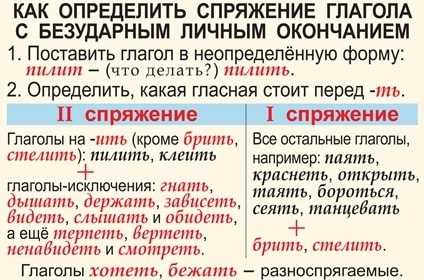 Сложности русской грамматики: особенности опушки