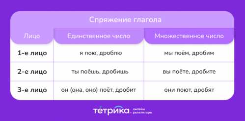 Мужской род