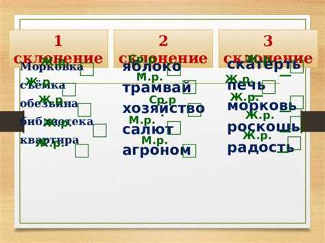 Видео и аудио материалы для изучения форм слова 