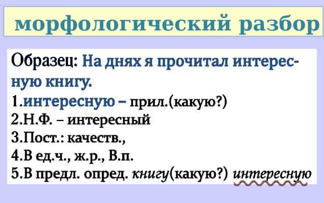 Разбор существительного 