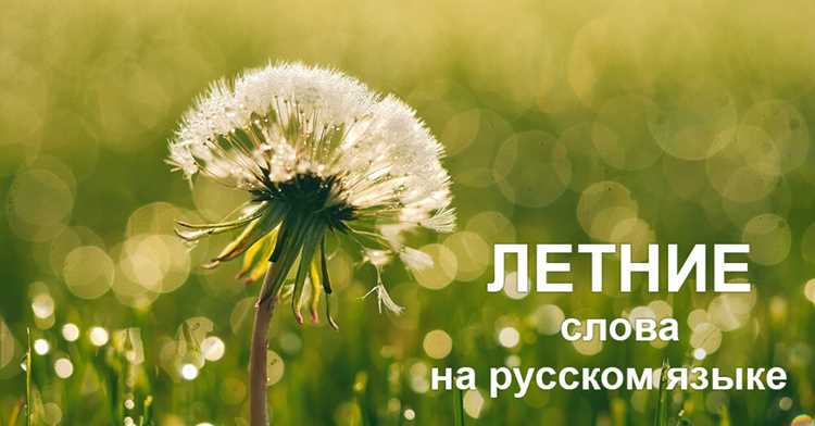 Инструменты и приложения для помощи в переводе