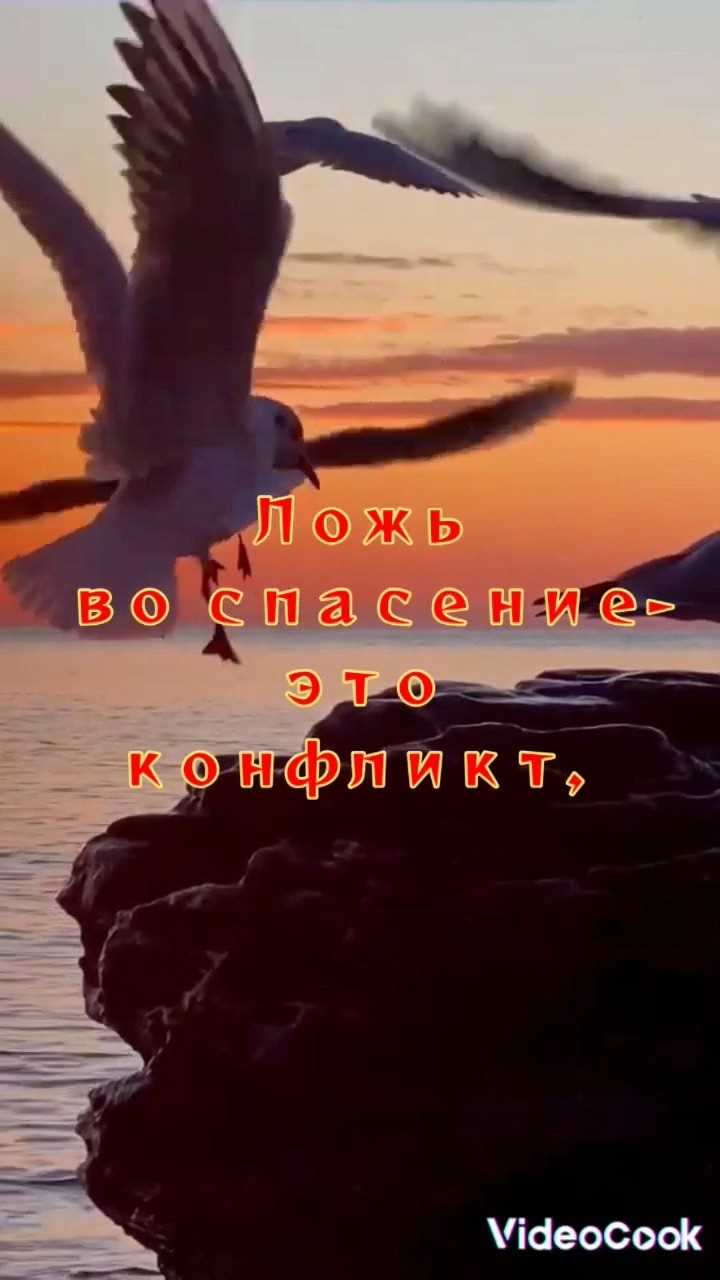Примеры использования неискренности в повседневности