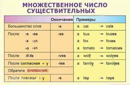 Массаж ног: почему важно заботиться о стопах