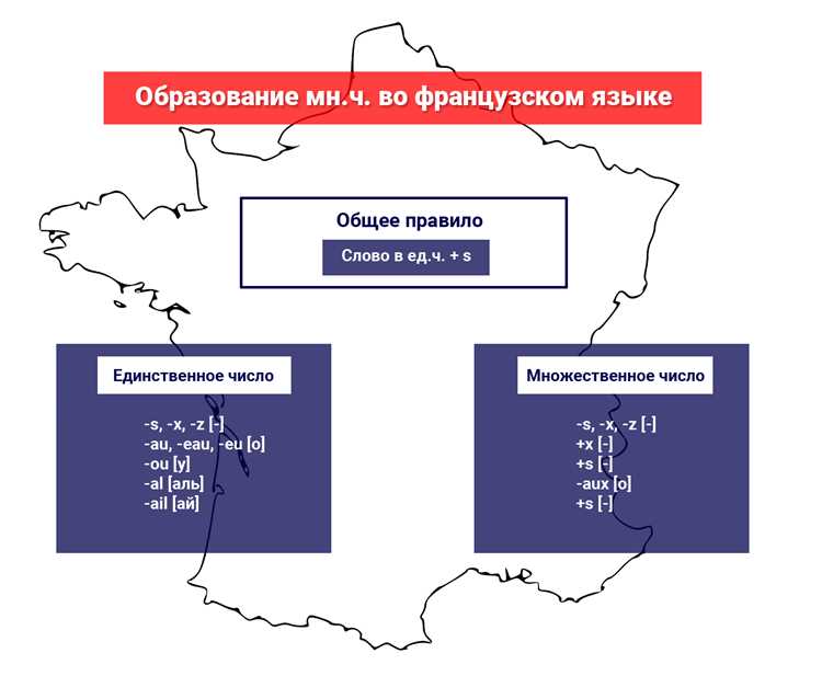Изменение мужских существительных