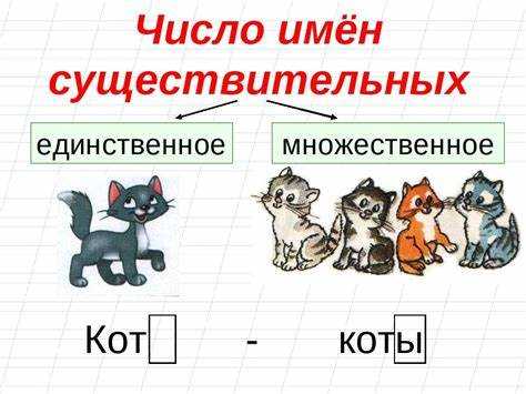 Необычные формы множественного числа в русском языке