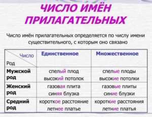 Примеры употребления в различных контекстах