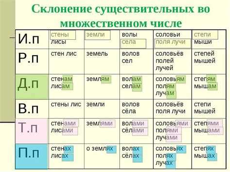 Роль контекста в выборе формы множественного числа