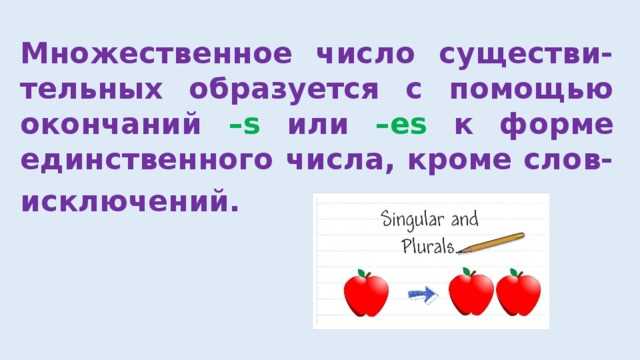 Формы множественного числа: шила или шилы?