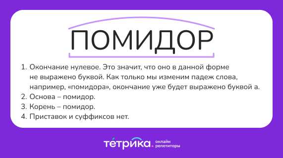 Корень: что представляет собой корень засеянная