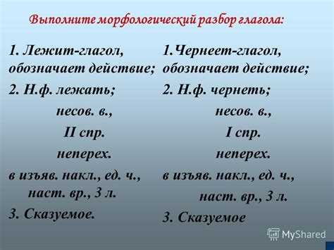 Лицо и число в морфологическом анализе глагола