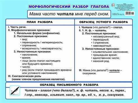 Парадигма: спряжение и падежи