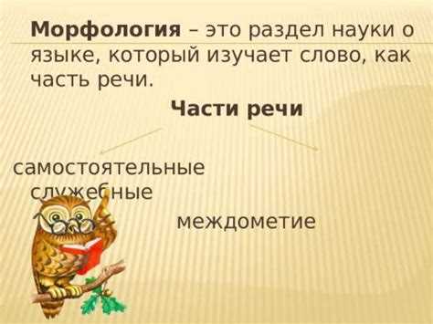 Изучение корня термина 