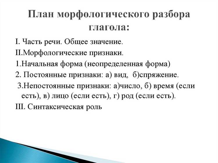 Синтаксическая функция термина 
