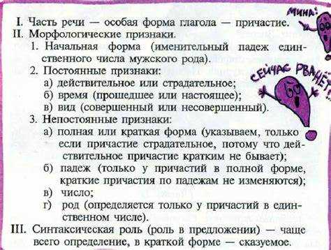Грамматическая характеристика слова 