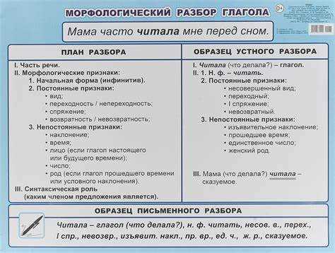 Число и род: особенности слова 