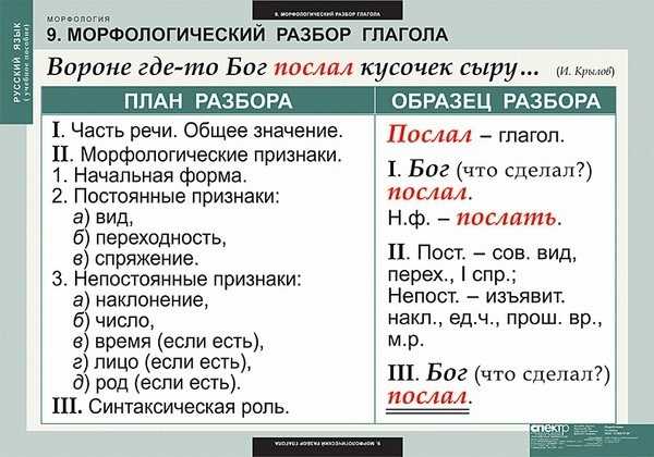 Грамматические особенности слов 