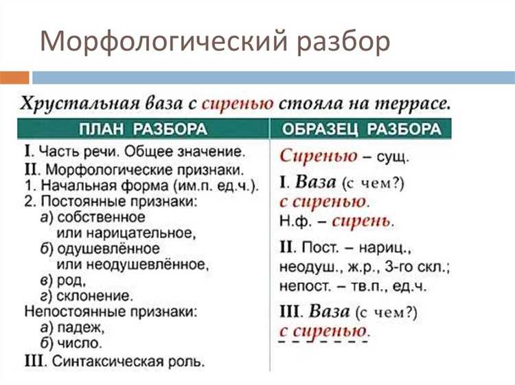 Синтаксическая роль слова 