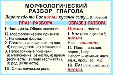 Род, число и падеж термина 