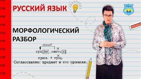Род, число и падеж