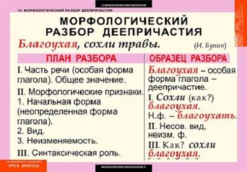 Анализ морфемного состава термина 