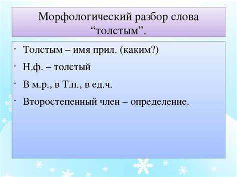 Синтаксическая роль зимнего в предложении