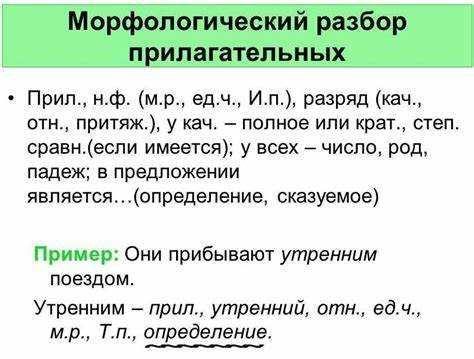 Структура слова: корень, приставка, суффикс