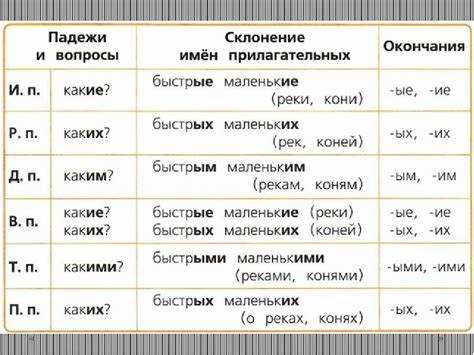 Специфика склонения Мужа в поэтическом контексте
