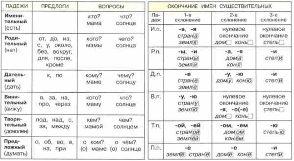 Типичные ошибки при склонении слова 