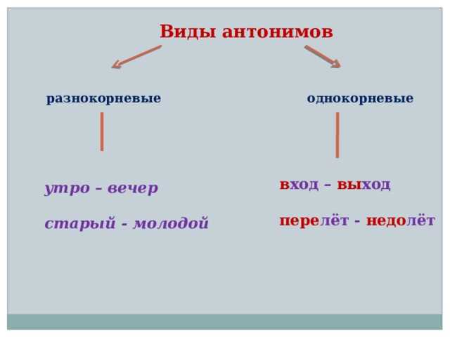 Что такое антоним и его роль в языке