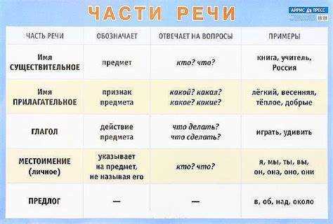 Прилагательные: ключевые характеристики и примеры