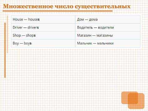 Как выбрать полис множественного числа для бизнеса