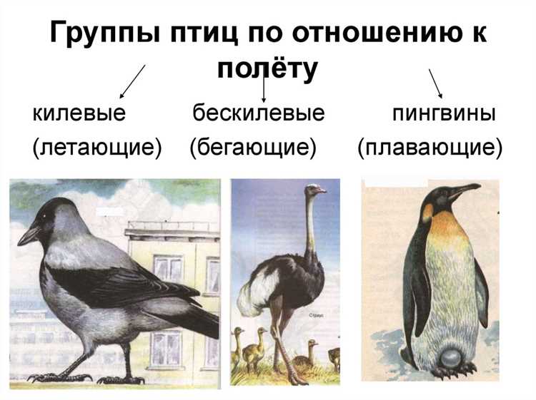 Сравнение форм слов с 