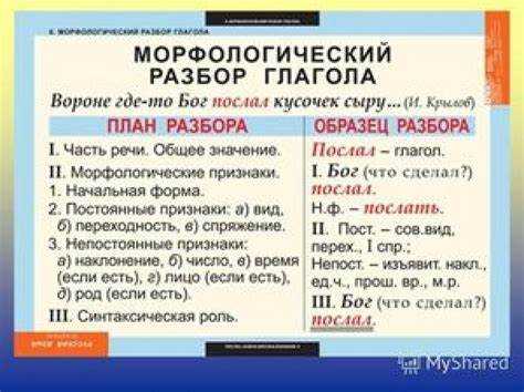 Интерпретация термина 